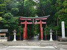 越後一宮 彌彦神社|一の鳥居|緑豊かな参道へと誘う神社の入口