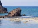 近くの今子浦海岸「カエル島」願いが叶えるといい伝えられています。最強パワースポットです。