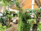 ☆レストラン『In the Garden 135』のガーデン☆
