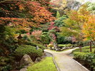 町立湯河原美術館の庭園散策路と紅葉