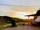 夕日がきれいです。