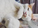 眠いよ〜