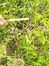 春先にタケノコ掘りができます。
