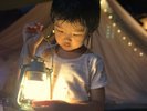 ・天然ホタル鑑賞ツアー付プラン