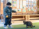かわいい動物たちとの触れ合い。猫ちゃんと一緒にのんびり過ごせます。