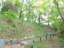 敷地内の遊歩道