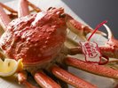 山陰冬の味覚「松葉蟹」