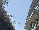 全客室にテラスがございます\(^o^)/喫煙は室内ではなく、こちらでお願いしますm(__)m水着等干せます