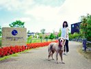 【ドッグコクーン】ワンちゃんも喜ぶ大自然のグランピングステイ