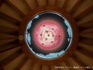 「NARUTO-ナルト-」のS級犯罪者集団