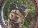 モンスターハンターコラボルーム「マイハウスのコクーン」B