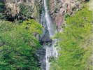 滝口から白布を垂らしたようなまっすぐな軌跡が特徴の船尾滝。