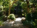 庭園