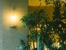 �m���r�[���E���W�n�ٓ��ɓ���Əo�}���Ă���鏬���́A�c��S���B