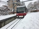 冬の強羅