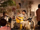 ライブの様子