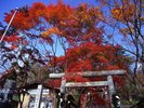 熊野皇大神社|碓氷峠頂上に位置し長野県と群馬県の県境にある神社。樹齢1000年以上の木がパワースポット。