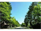 大賀通り|大賀ホールに面した通り安東美術館などもあります。