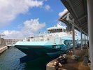 【市営定期船】期間限定◇ミジュマルラッピング◇答志島への船旅も楽しそう◇