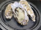 【牡蠣陶板焼き】答志島ブランド牡蠣「桃こまち」