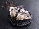 畔蛸産 タグ付き岩牡蠣 2名様用