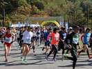 【仙人峠マラソン大会】標高約400m、平均斜度約5%の難コースを爽やかな秋空のもとで挑戦!※イメージ