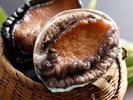 活きの良い輪島産の鮑