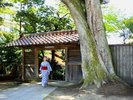 温泉寺と服部神社はお隣同士でつながってるの?お寺と神社なのに・・・不思議な感じ♪