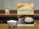 限定の炊きたてご飯は特別栽培米石川県産『こしひかり』を使用