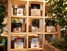 【レンブラリーカフェ】本も読み放題