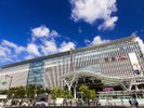 �����w(�ʐ^�񋟁F�����s)