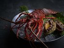 【料理】夕食 鉄板焼 コースメニュー(イメージ)