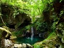 �����炶�̑�@�u�����炶�̑�v�͏������d�Ȃ邱�Ǝp���������������P���� �B�@�����ق��ԂŖ�48��