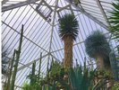 【シャボテン公園:車で5分】カピパラや動物に餌をあげたり、熱帯植物を楽しめる大人も楽しい広大な公園!