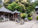 【当館から車で12分】恩山寺:四国八十八カ所霊場の第十八番札所。桜や紅葉の名所としても知られる