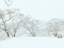 雪化粧