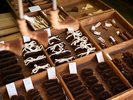 アクティビティ:京町らんまん老舗さんぽ