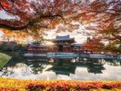 京都紅葉シーズン