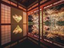 京都紅葉シーズン