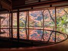 京都紅葉シーズン