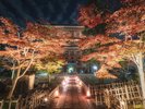 京都紅葉シーズン