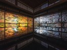京都紅葉シーズン