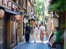 アクティビティ:京町らんまん川さんぽ