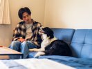 #ワンちゃん・猫ちゃん・小動物、ご宿泊可能です。デラックスルームは大型犬もOK!