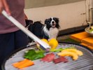 #夏季限定BBQ テラスで愛犬と一緒に楽しんでください!