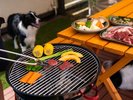 #夏季限定BBQ テラスで愛犬と一緒に楽しんでください!