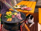 #夏季限定BBQ テラスで愛犬と一緒に楽しんでください!