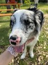 #愛犬と一緒にご滞在ください!