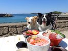 �y���OK�z�t�B�b�V���[�}���Y���[�t�ŊC�̍K��