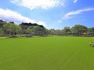 dog park �a��